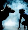 Photo du spectacle Maja, l'histoire d'un loup qui devient père