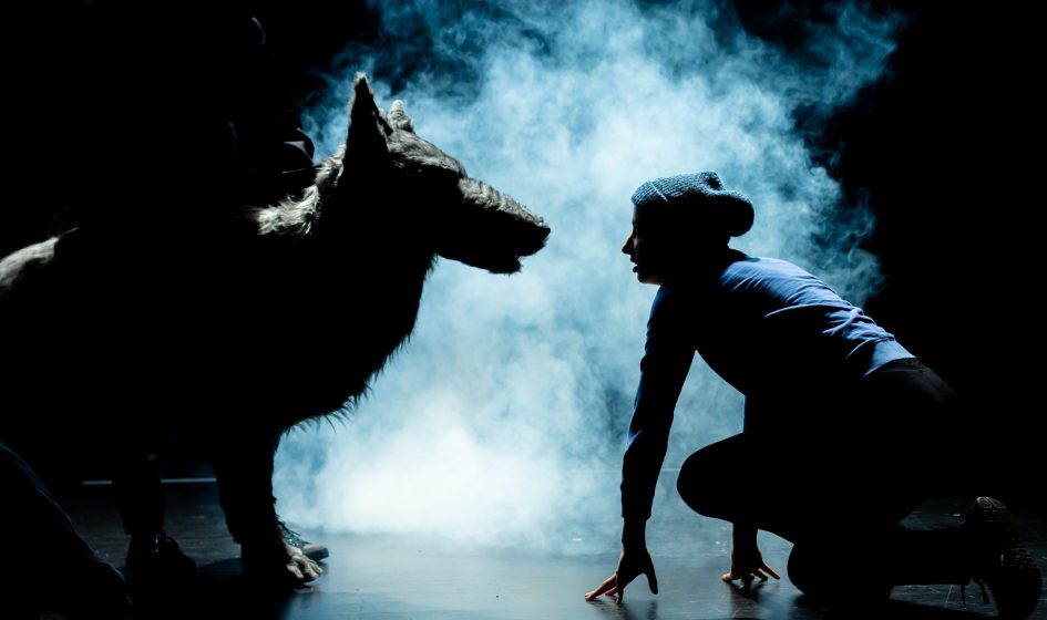 Photo du spectacle Maja, l'histoire d'un loup qui devient père