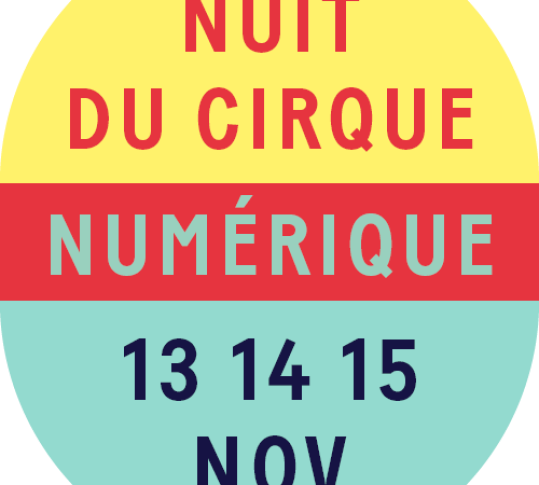 La Nuit du Cirque