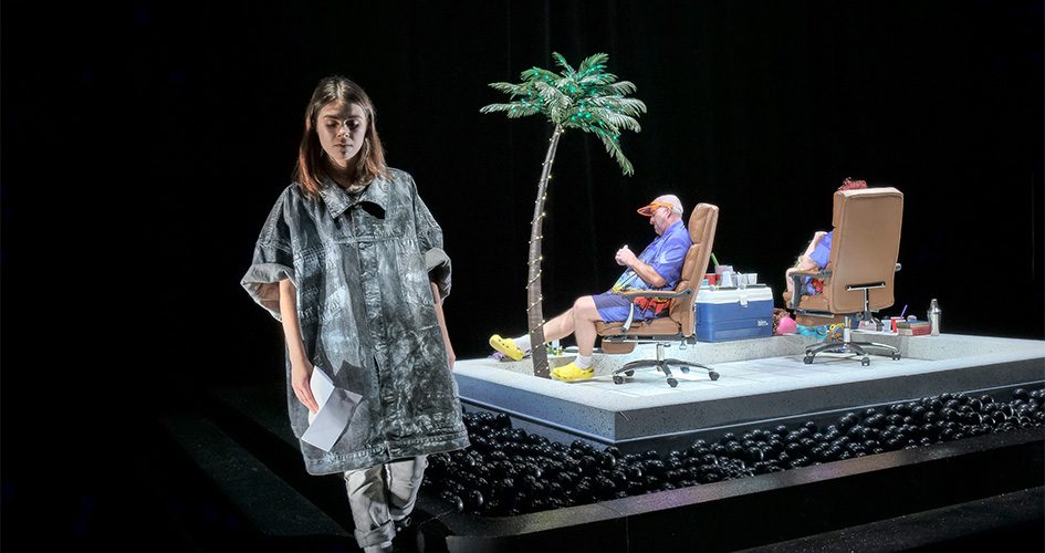 Photo du spectacle Le Poids des fourmis