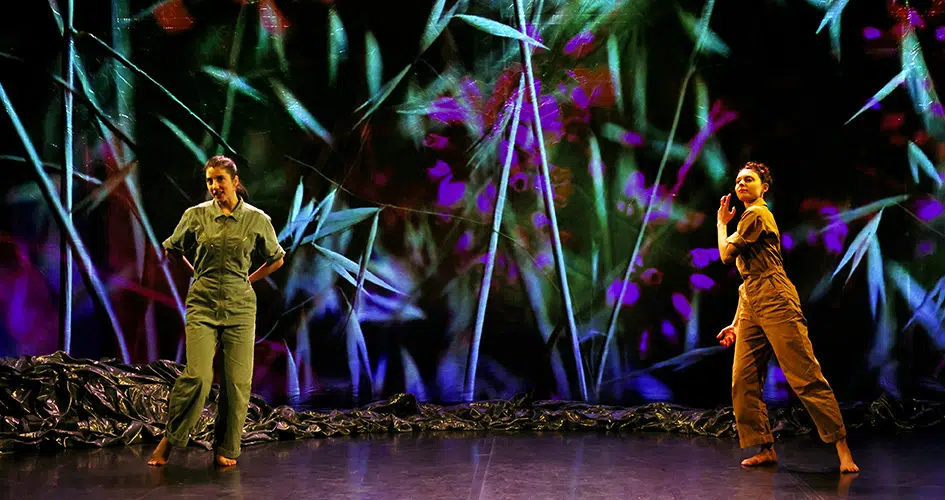 Photo du spectacle