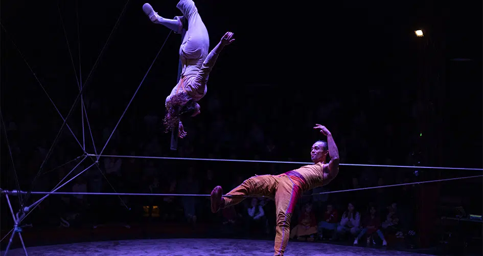 Photo du spectacle 