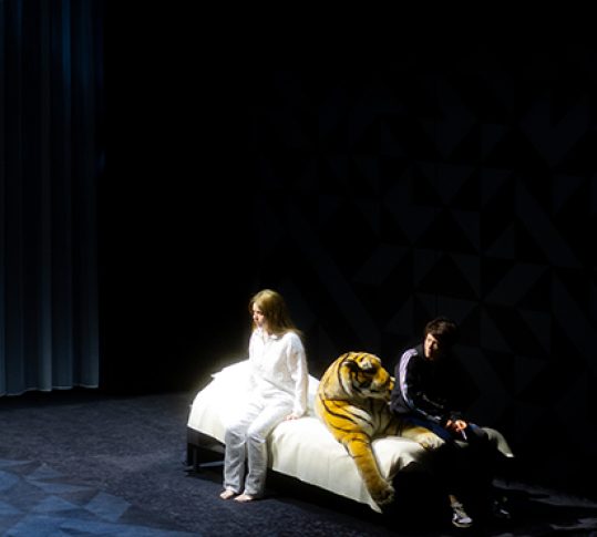 Photo du spectacle Les Petites Filles modernes