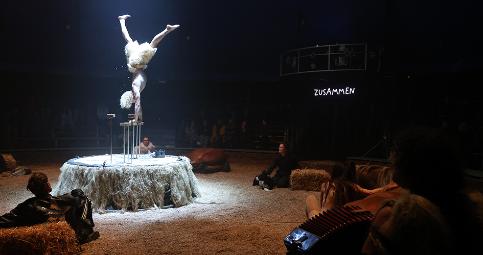 Photo du spectacle Zusammen