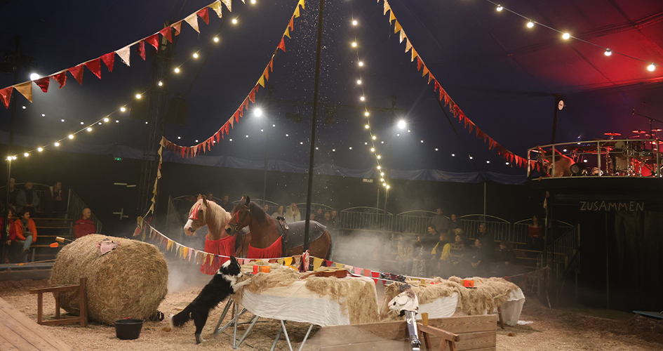 Photo du spectacle Zusammen