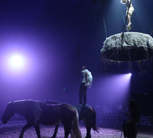 Photo du spectacle Zusammen
