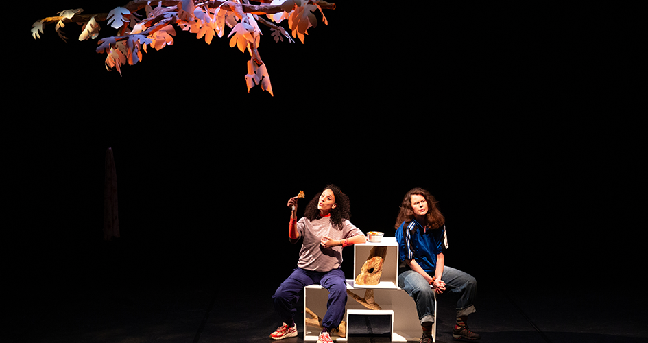 Photo du spectacle Le Figuier