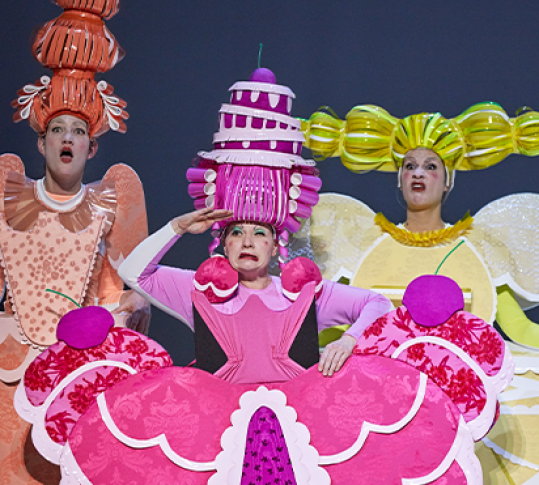 Photo du spectacle Les Contes de Perrault