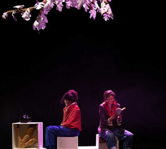Photo du spectacle Le Figuier