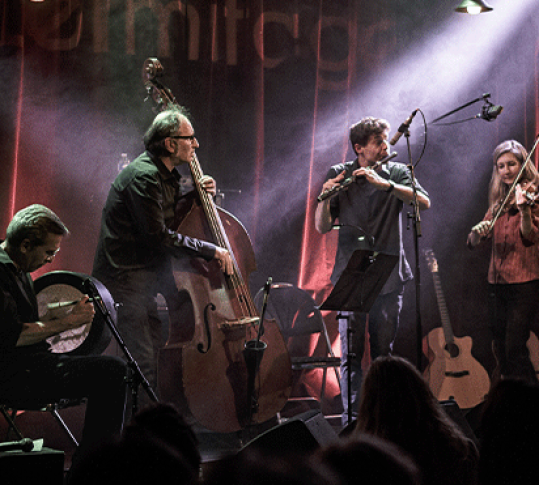 Photo de Scoops and friends, musique irlandaise Trio Scoops